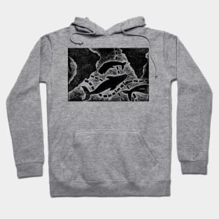 Whale Map Hoodie